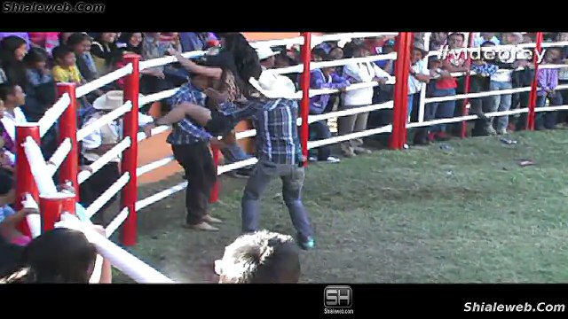 Jaripeo De Mujeres Valientes y Sensuales Damitas Montan Toros Salvajes De La Mejor Ganaderia De La Region En Mexico 2015