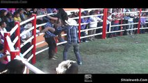 Jaripeo De Mujeres Valientes y Sensuales Damitas Montan Toros Salvajes De La Mejor Ganaderia De La Region En Mexico 2015