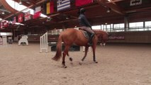 Essai horseCom Edward Levy - Pôle international du Cheval de Deauville (14)