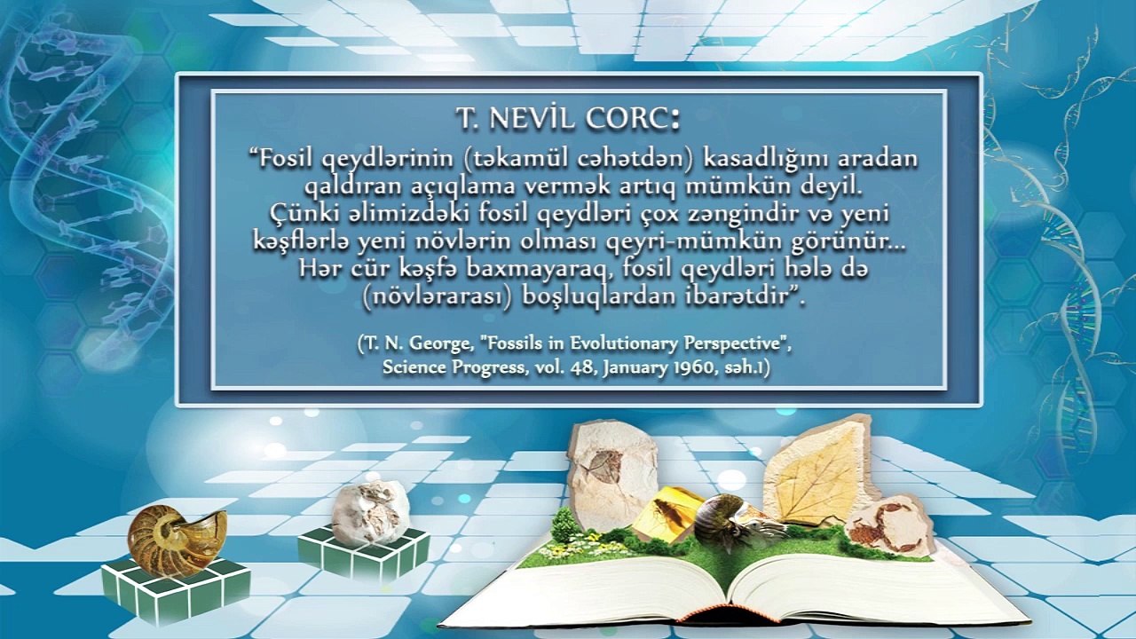 Təkamülçülərin ara-keçid forma probelmi