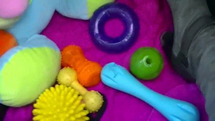 99ème vidéo En voiture avec LUNA de Staffordland