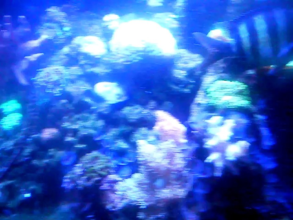 Feed tank 2