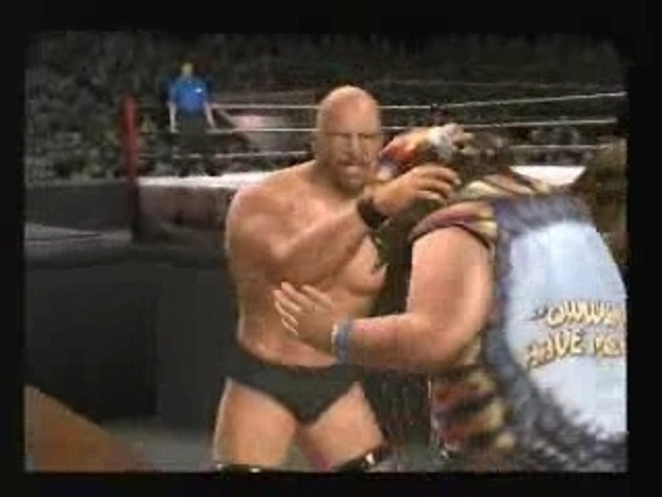 Dude Love vs. Stone Cold Steve Austin