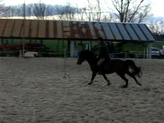 Cours obstacle (Pierre)