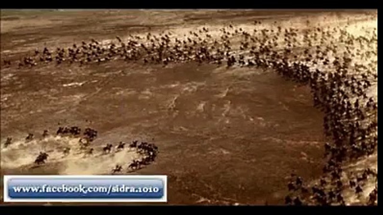 Awesome Video
