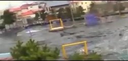 in japan tsunami a strange creature caught by camera