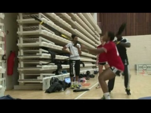 Des Lionnes sous les barres