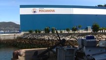 El Grupo Pescanova ganó 1.649 millones en 2014, frente a las pérdidas de 2013