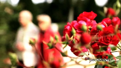 Denis Décode : Liliane Bettencourt dans l'intimité d'une milliardaire- Complément d'enquête