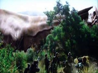 100 Million BC 20081