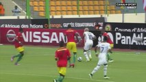 La talonnade inspirée d'Ayew sur le but du Ghana !