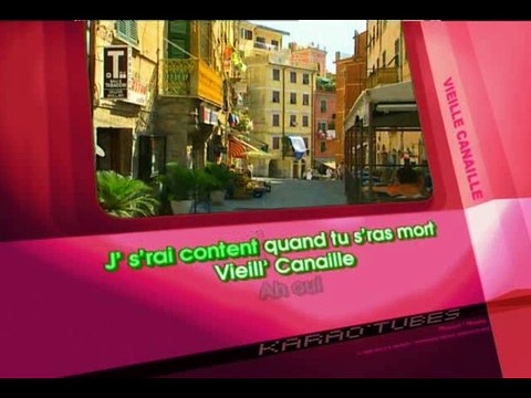 KARAOKE SERGE GAINSBOURG et EDDY MITCHELL - Vieille canaille