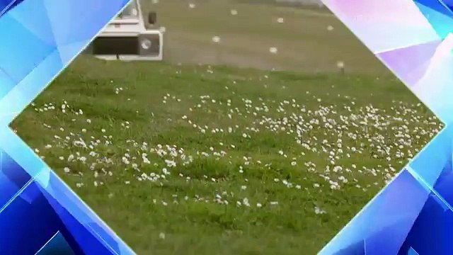 San Marino - Postcard at the 2014 Eurovision Song Contest