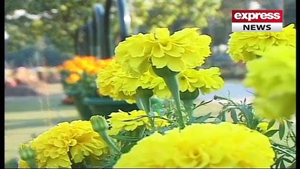 Anual exhibition of Gul-e-Daooodi