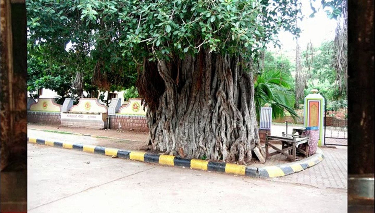 Mahakuta