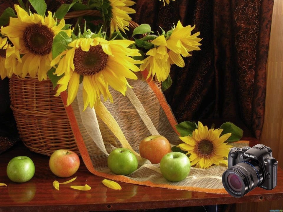 Pour Toi Eva ces jolies fleurs  ( HD )