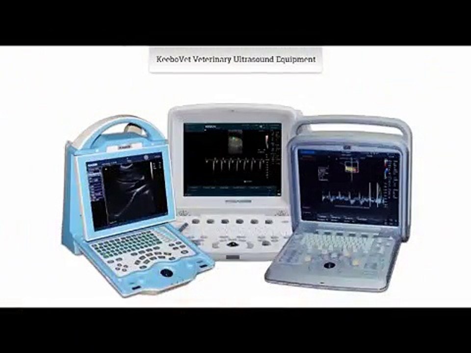 Vet Ultrasound Equipment For Cattle, Mare, Farm Animals, Livestock, Dog, Cat