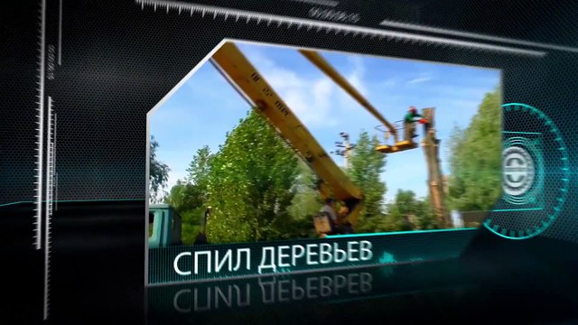 Спил обрезка деревьев. Видео в HD Заказ автовышки для спила и обрезки деревьев на вашем участке.