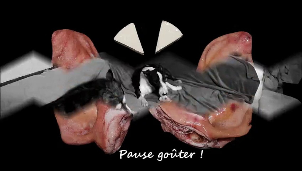Pause goûter ;)
