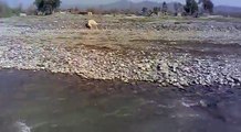 Haripur KTS Dhor