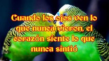 Frases Bonitas