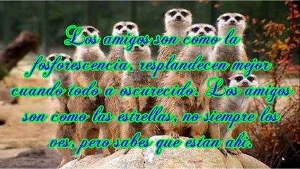 下载视频: Frases Bonitas de Amistad - Frases Bonitas de Amigos