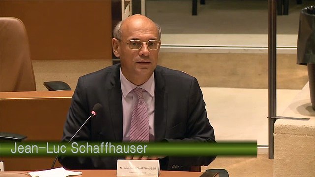 Conseil municipal du 13 octobre 2014 (débat sur les projets autour du quartier du Wacken)