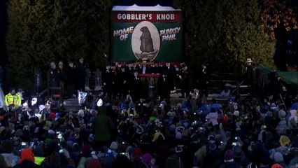 Marmotas discordam sobre inverno