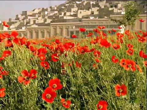 Afghan music Ustad Madadi Super hits dari song watan Ishqe to افغانستان