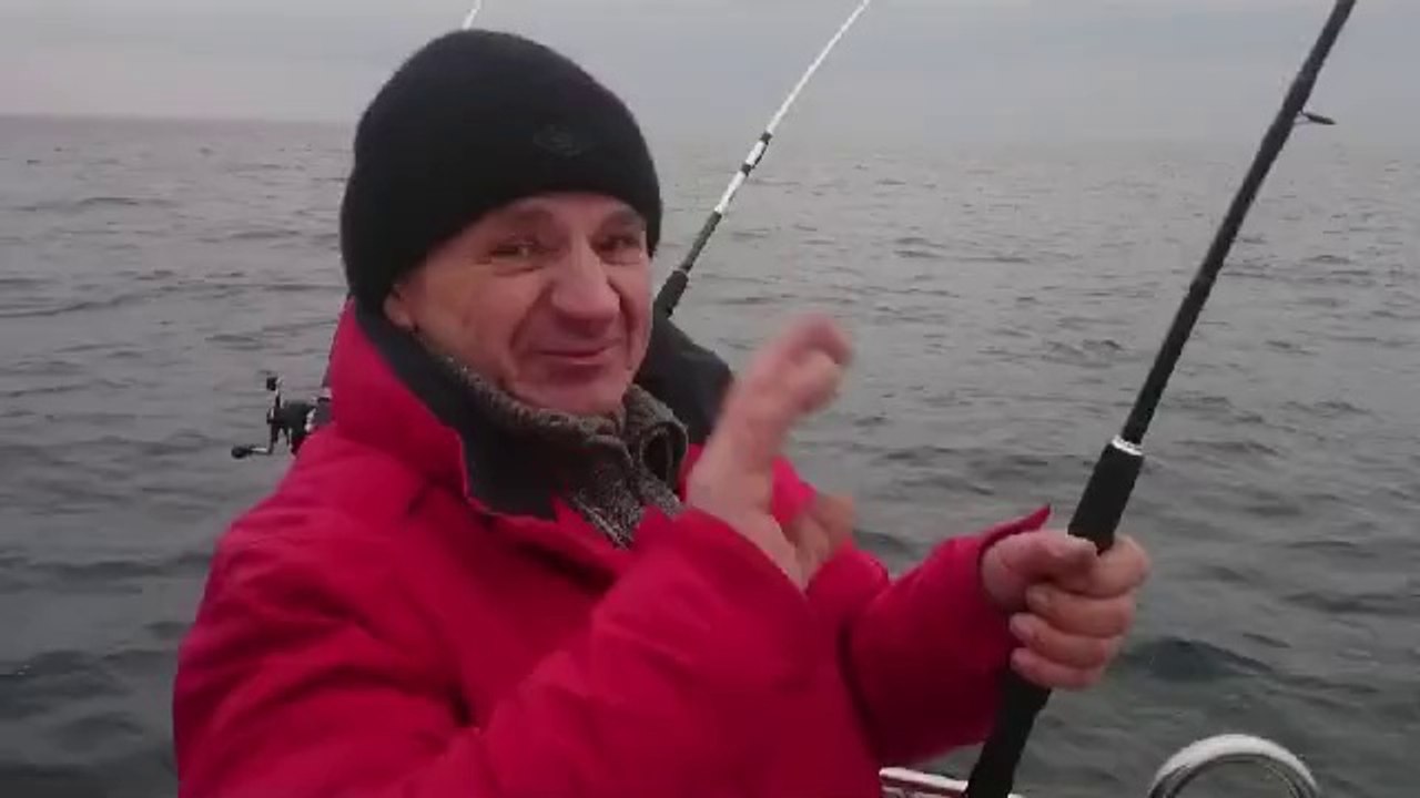 Łososie z Marinero