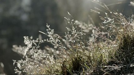 Descent From Disaster NZ - S01E02