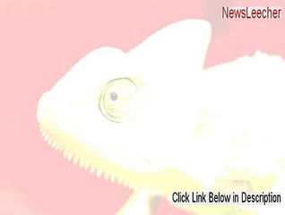 NewsLeecher Keygen (Download Here 2015)