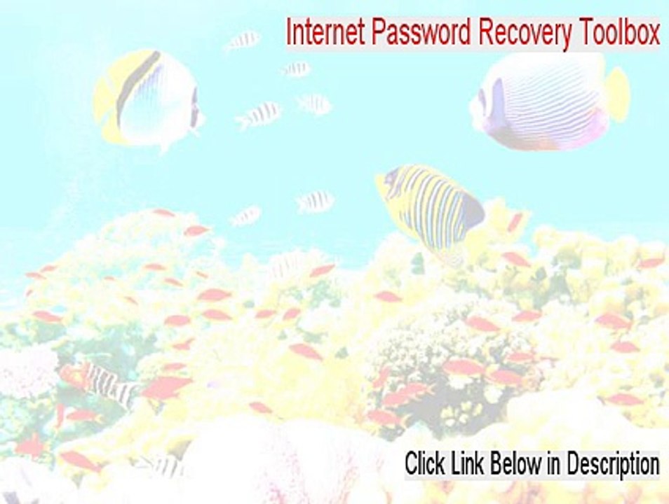 Internet Password Recovery Toolbox Download - Instant Download (2015)