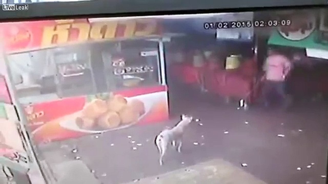 YouTube: Hombre que intentó agredir a perro indefenso recibió su merecido