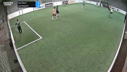 But de raphael (3-6) - Les bleus   Vs Les Experts  - 02/02/15 21:00 - Ligue janvier 2015