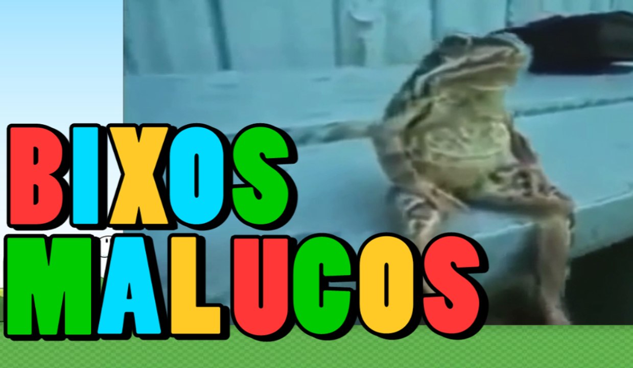 Bixos Malukos - Faz Teu Nome - Narrados pelo google tradutor