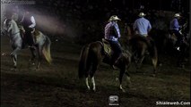 Caballos Bailadores Concurso En Lienzo Charro Michoacan Mexico La Expo Feria Exibicion De Ganaderia De Exelencia