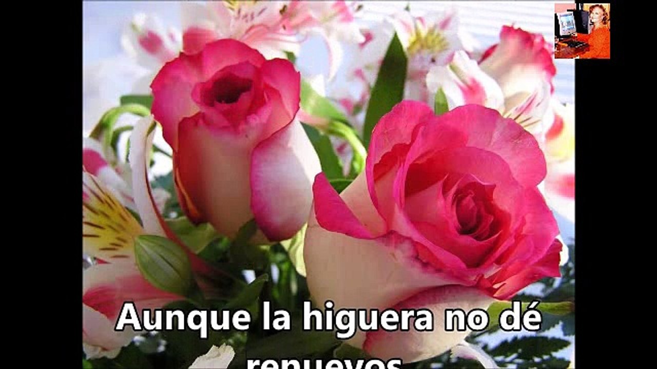 VERSICULOS BIBLICOS DE ALEGRIA