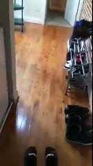 this guy thought he was cleaning the house alone