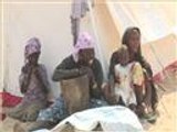 تزايد أعداد النيجيريين اللاجئين إلى دولة تشاد
