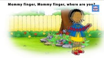Finger Family CAILLOU Cartoon Animation Finger family Nursery Rhymes For Kids