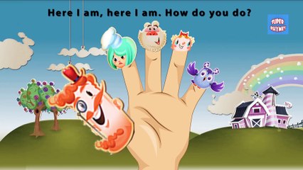 Candy Crush Finger Family | Finger Family Songs | Finger Family Rhymes for kids