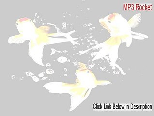 MP3 Rocket Serial (Download Now 2015)