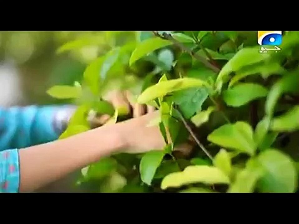 aap ki kaneez