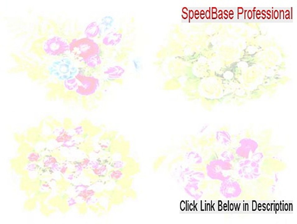 SpeedBase Professional Keygen [Free of Risk Download]