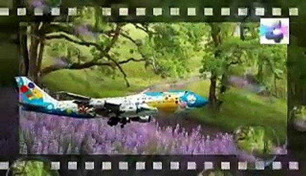 anatomia humana, Misterios y Enigmas, Español latino