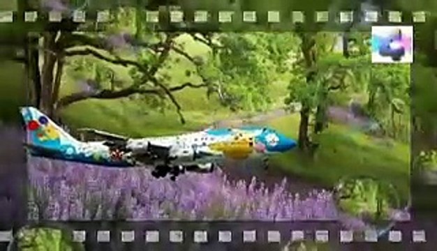 el bonsai, Misterios y Enigmas, Español latino