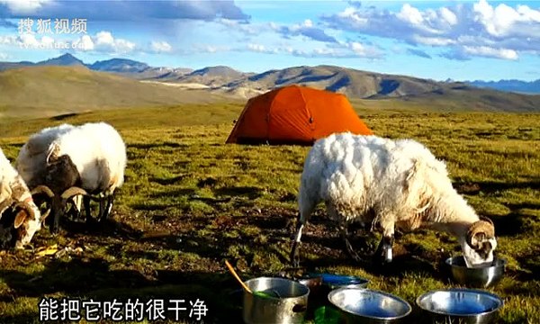 0040-第40集渐行渐净