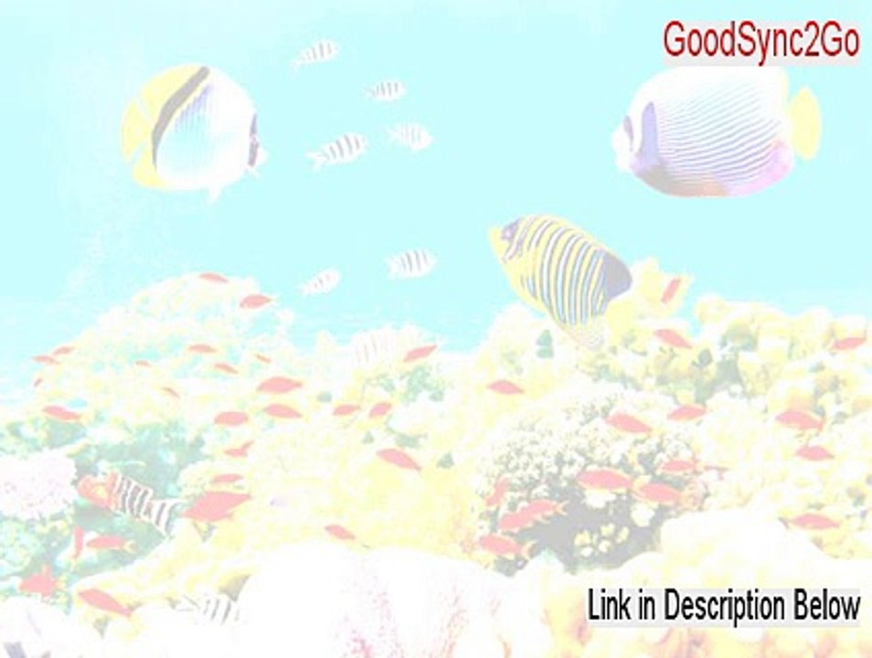 GoodSync2Go Serial - Legit Download 2015