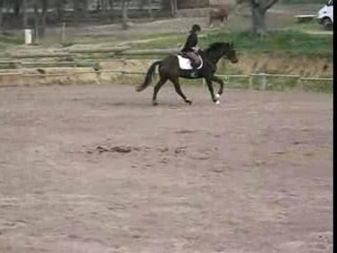 Galop a droite
